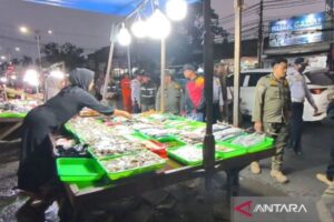 193 pedagang ikan di bahu jalan Kramat Jati akan dipindah ke Lokbin