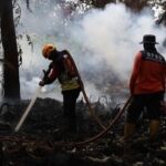Bupati Kalbar Minta Perusahaan Ikut Bantu Atasi Karhutla