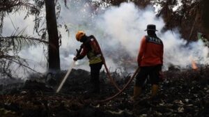 Bupati Kalbar Minta Perusahaan Ikut Bantu Atasi Karhutla