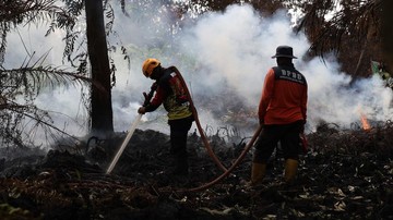 Bupati Kalbar Minta Perusahaan Ikut Bantu Atasi Karhutla